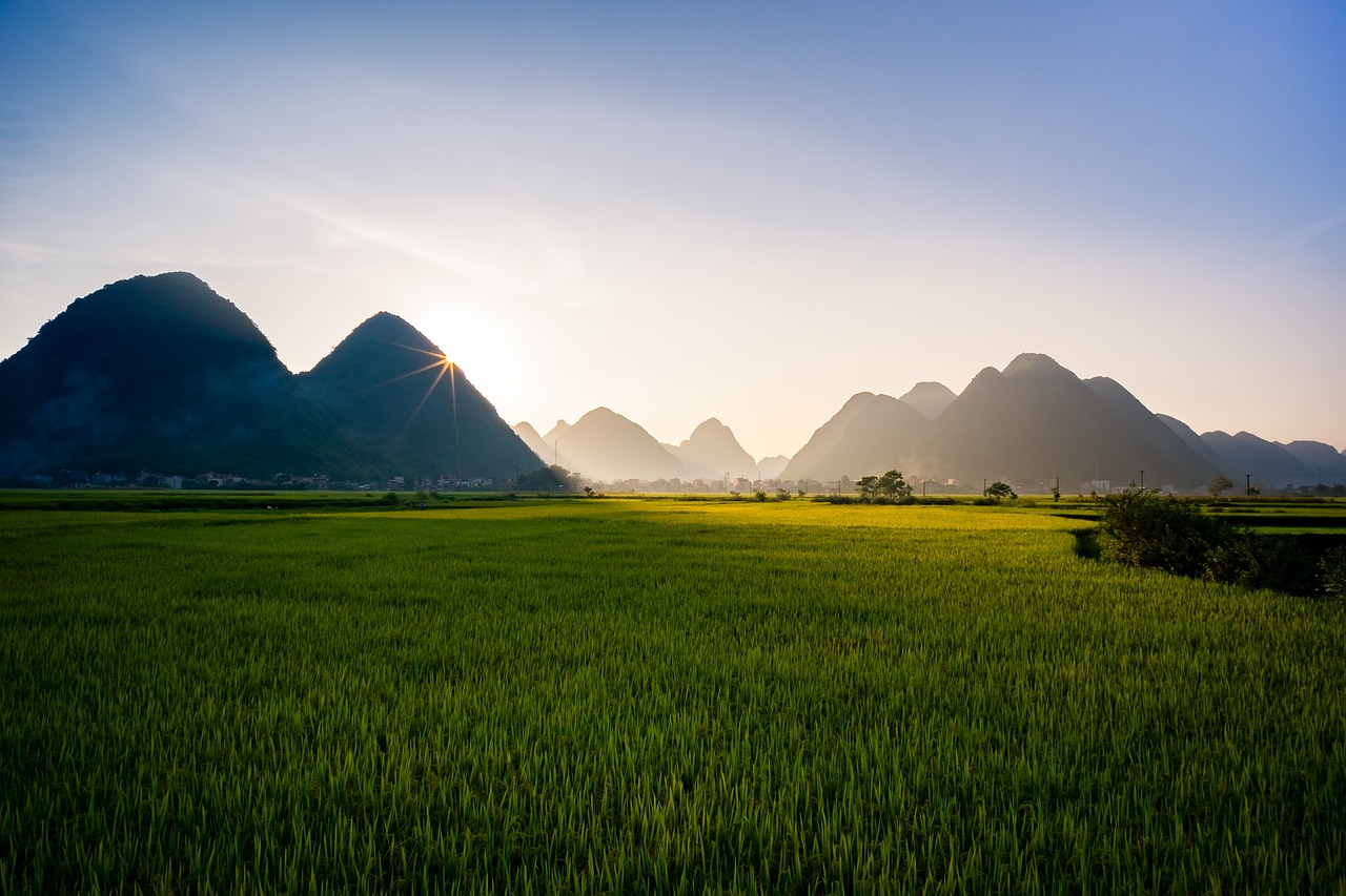 三角形小区风水宝地全解析，最新选址指南