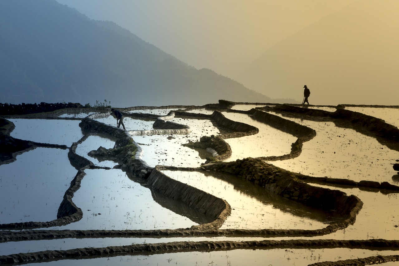 仗义财疏解生肖，风水大师细剖析